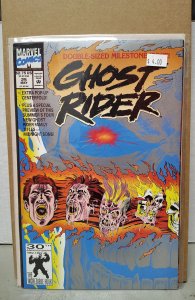 Ghost Rider #25 (1992). H14
