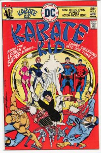Karate Kid #1 (1976) Karate Kid