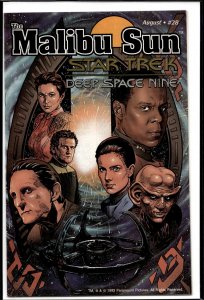 The Malibu Sun #28 (1993)