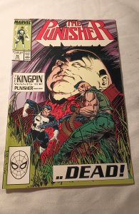 The Punisher #16 (1989)