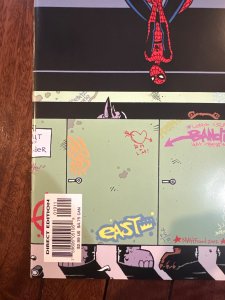 Spider-Man's Tangled Web #19 (2002)