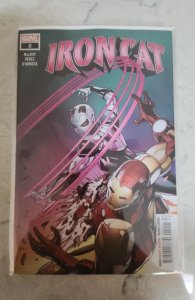 Iron Cat #2 (2022)