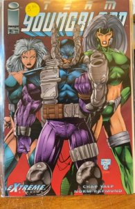 Team Youngblood #4 (1993)
