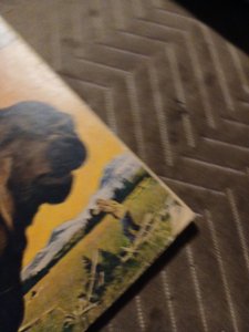 The World Around Us #31 Gilberton Classics Illustrated 1961 Good Hunting