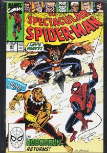 The Spectacular Spider-Man #161 (1990) Spider-Man