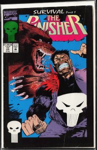 The Punisher #78 (1993) Punisher