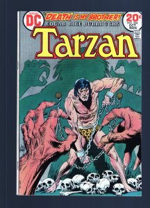 Tarzan #224 - Joe Kubert Cover Art. Death is My Brother. (8.0) 1973