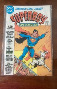 Superboy Spectacular (1980)