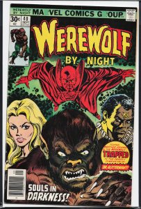 Werewolf by Night #40 (1976) Werewolf by Night