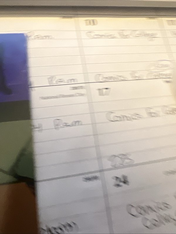 The Hood #1 South Central LA