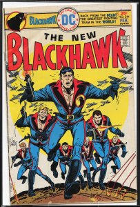 Blackhawk #244 (1976)