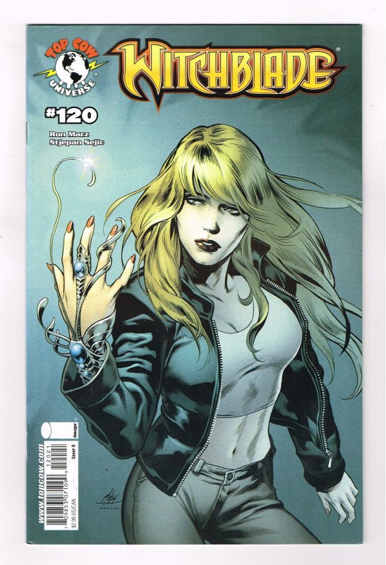 Witchblade #120 B Haley Cover (2008)