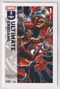 Ultimate Endgame #1 Brooks Main Cvr (Marvel, 2025) NM