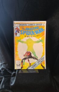 The Amazing Spider-Man #234 Direct Edition (1982) Spider-Man 