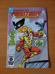 Fury of Firestorm #29 Direct Market Edition ~ NEAR MINT NM ~ 1984 DC Comics