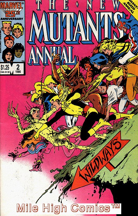 The New Mutants Annual #2