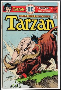 Edgar Rice Burroughs' Tarzan #248 (1976)