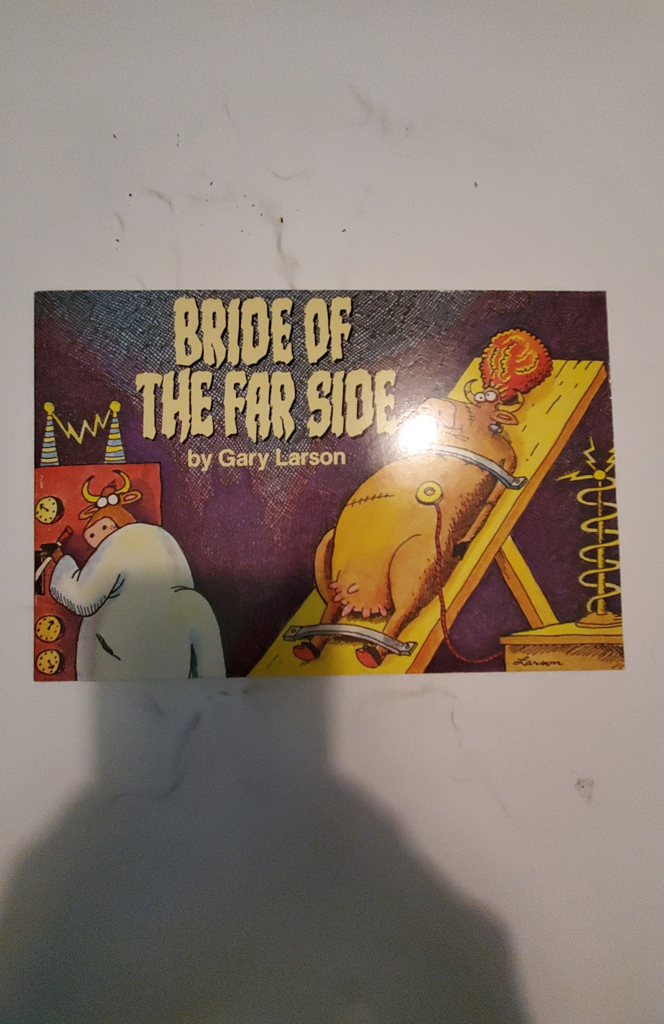 Bride Of The Far Side 1 1984 NM Andrew s McMeel Comic Book J742 