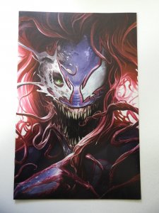 The Amazing Spider-Man #29 (2017) VF/NM Condition