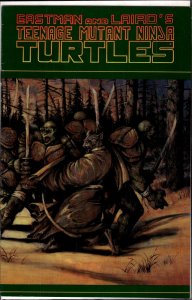 Teenage Mutant Ninja Turtles #31 (1990)