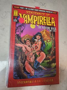 Vengeance of Vampirella #14 Chris Berkeley Cover (1995)