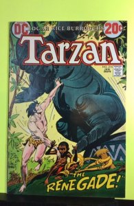 Tarzan #216 (1973)