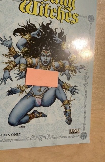 The Young Witches VI: Wrath of Agatha #2 (2005)