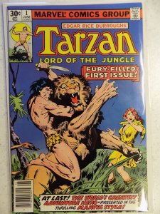 Tarzan #1 (1977)