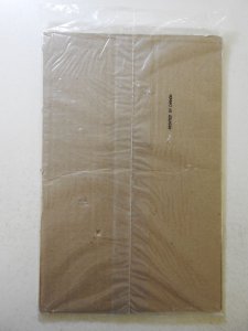 Harley Quinn Loot Crate Exclusive (2016) Poly sealed bag