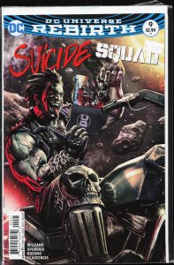 Suicide Squad #9 Variant Cover (2017) Amanda Waller