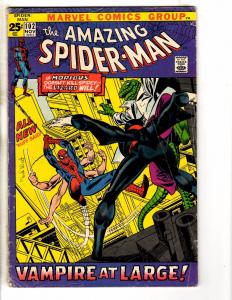 Amazing Spider-Man # 102 VG Marvel Comic Book Silver Age Stan Lee Ditko J267