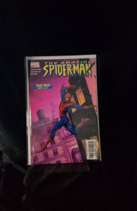 The Amazing Spider-Man #517 (2005)  