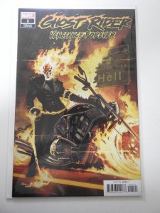 Ghost Rider: Vengeance Forever #1 Variant Edition