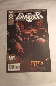 The Punisher 14