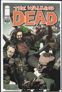 The Walking Dead #114 (2013) The Walking Dead