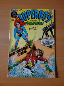 Superboy #171 ~ VERY FINE - NEAR MINT NM ~ 1971 DC Comics