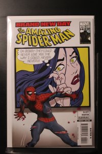 The Amazing Spider-Man #560 (2008)