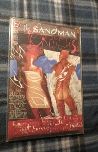 The Sandman Special (1991)