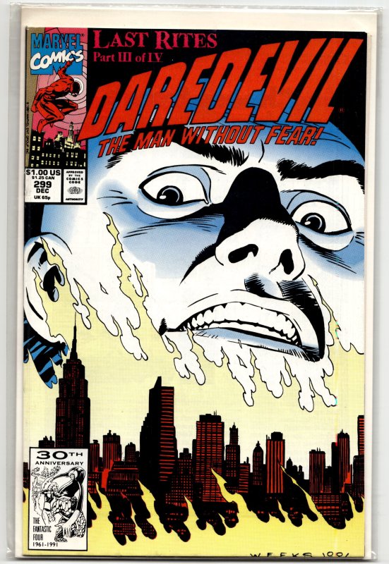 Daredevil #299 (1991) Daredevil