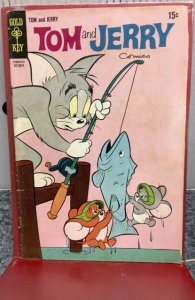 Tom and Jerry #247 (1969)