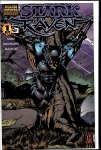 Stark Raven #1 (2000)