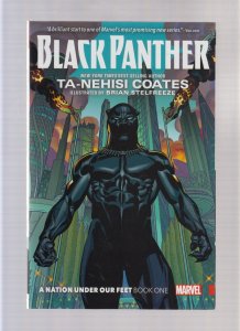 Black Panther: A nation under our feet - Trade Paperback (7.5) 2016