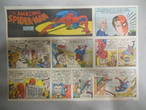 Spiderman Sunday #2 by Stan Lee & John Romita from 1/9/1977 Size 11 x 15 inches