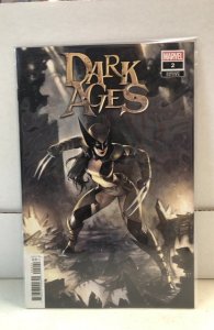 Dark Ages #2 Hetrick Cover (2021)