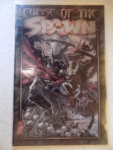 CURSE OF SPAWN # 2