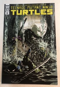 Teenage Mutant Ninja Turtles Shredder #1 (9.2) Variant  Comic Books -  Modern Age, IDW, Teenage Mutant Ninja Turtles / HipComic