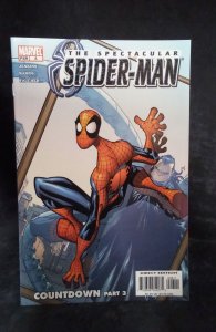 Spectacular Spider-Man #8 (2004)