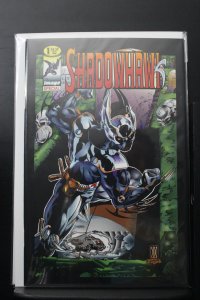 Shadowhawk Special (1994)