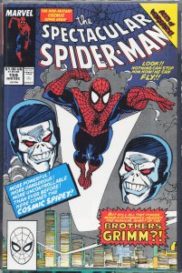 The Spectacular Spider-Man #159 (1989) Spider-Man