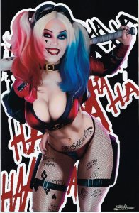 Cool Comics Gallery Exclusive Harley Variant Rocha Cover Limited to ONLY 100  NM